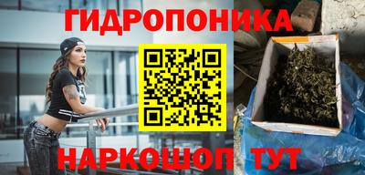 прущие грибы Краснокаменск