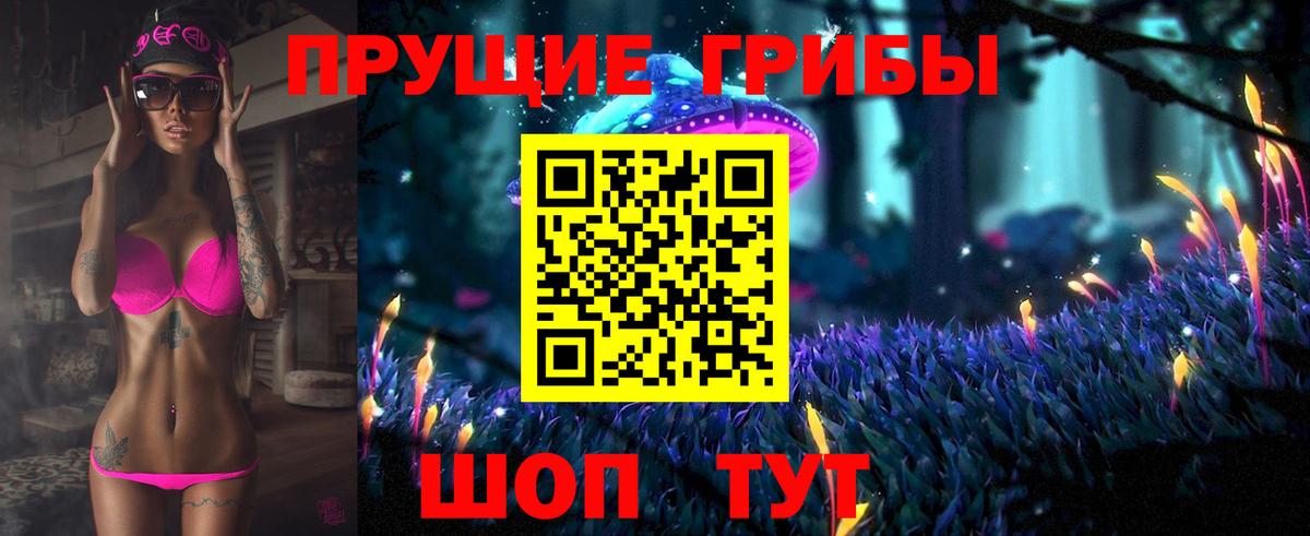 Псилоцибиновые грибы Psilocybine cubensis Унеча